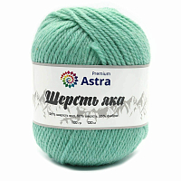 Пряжа Astra Premium 'Шерсть яка' (Yak wool) 100гр 120м (+/-5%) (25%шерсть яка, 50%шерсть, 25%фибра) (02 мятный)
